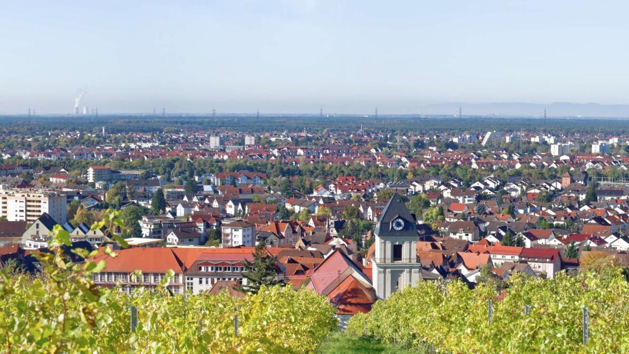 Grosse Ferienwohnung, In Wehome Komfort Apartment